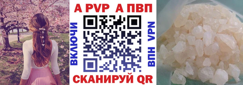 Купить закладки  Новоржев  A PVP СК 