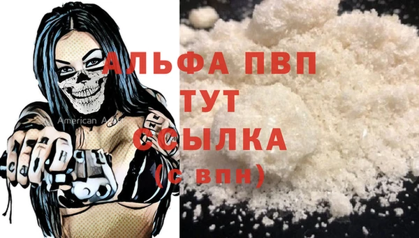 ECSTASY Корсаков